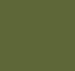 Cedar green