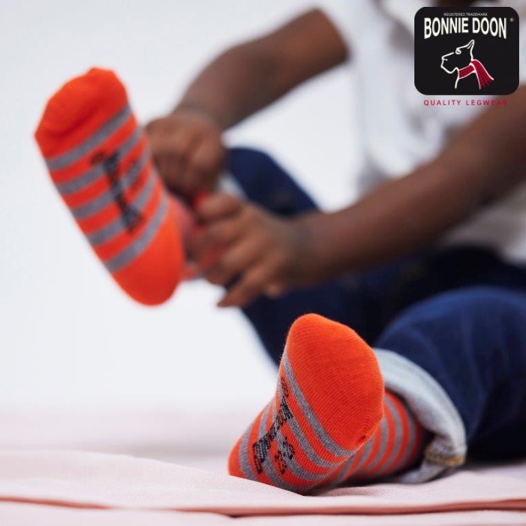 Basic Stripe sock Sudan brown