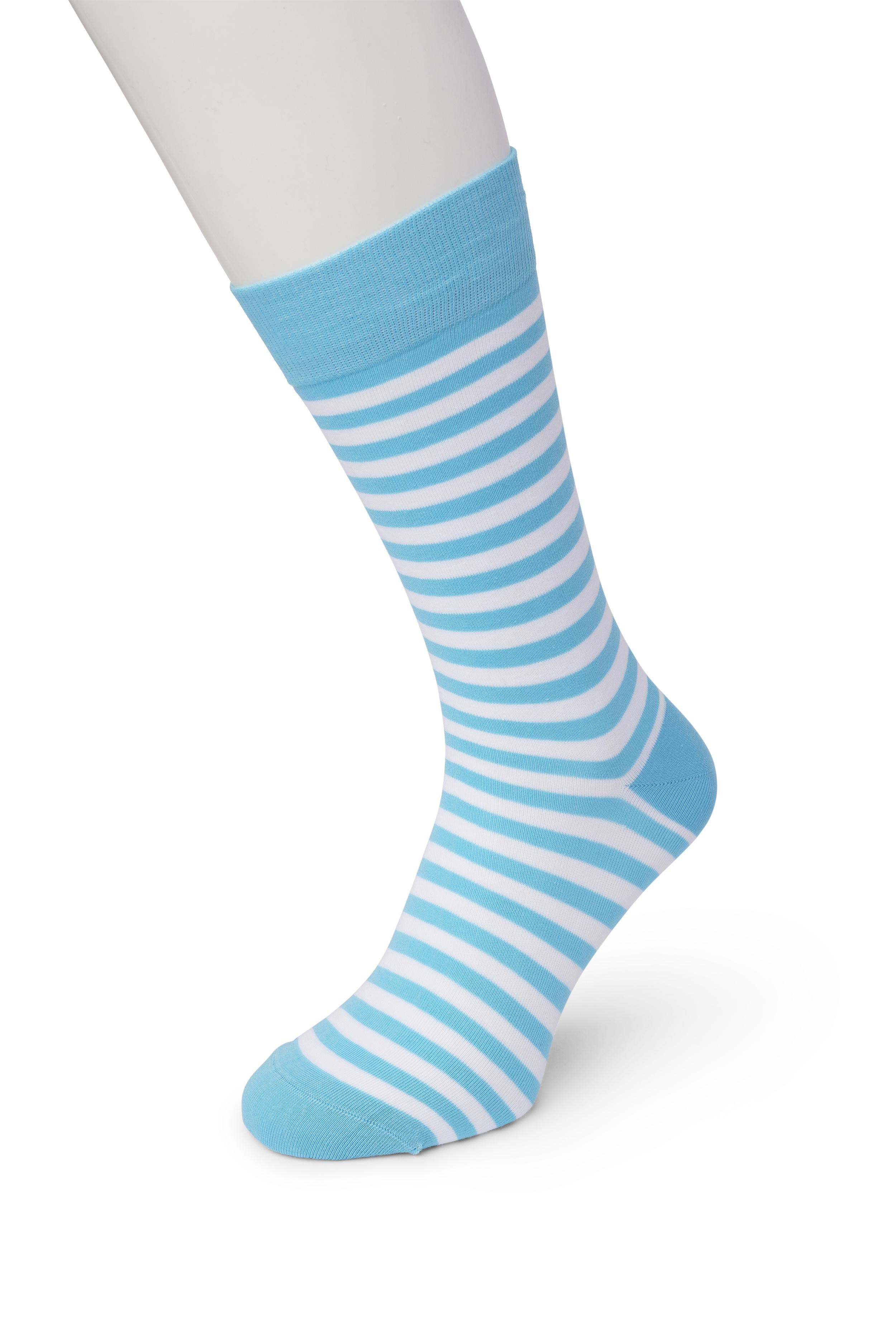 Basic Stripe sock Aquarius