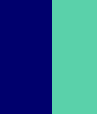 Dark blue mint